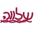 שלווה – כלים חד פעמי